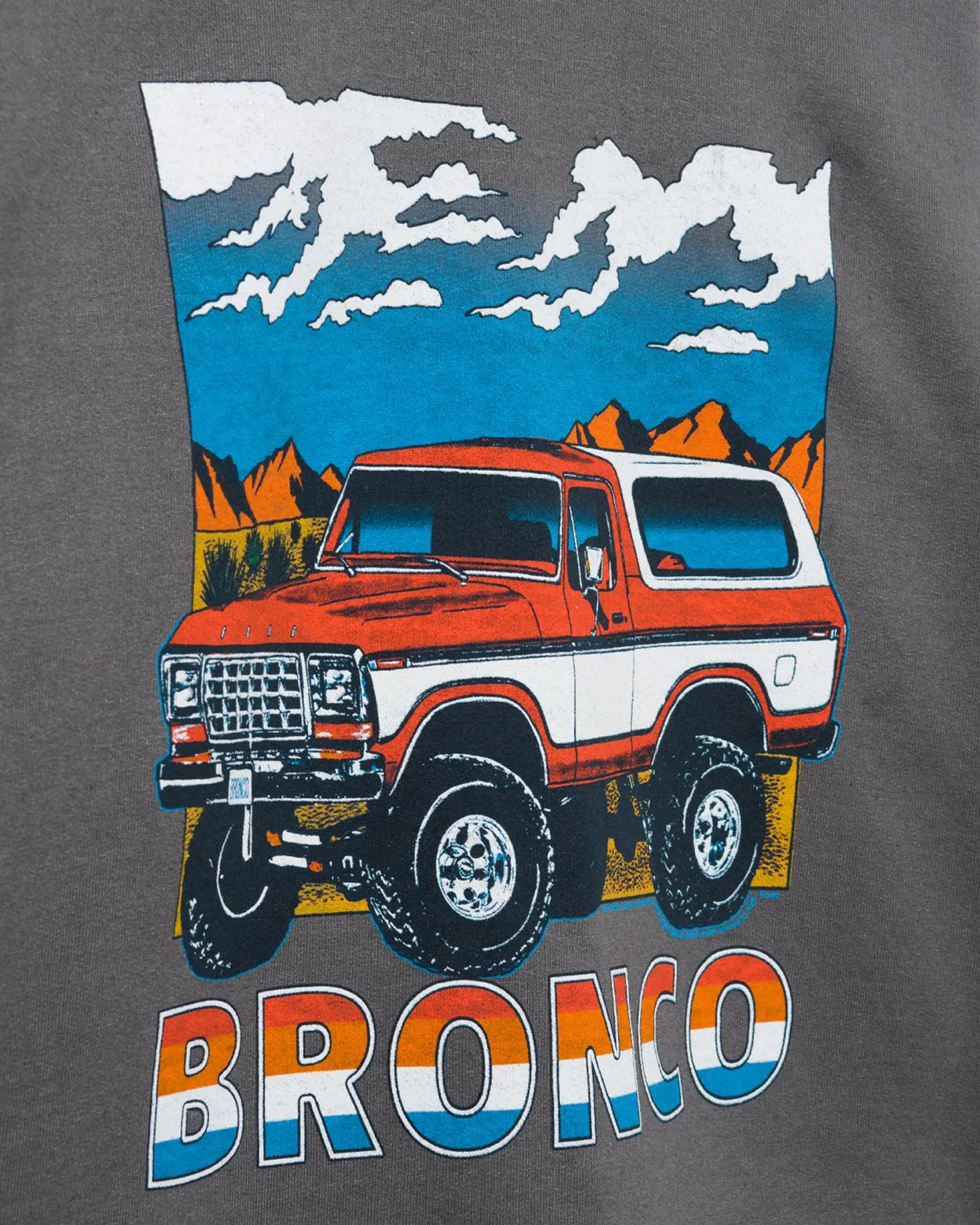 Women's Bronco Cropped Flea Market Fleece